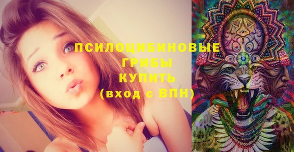 ешки Сосновоборск