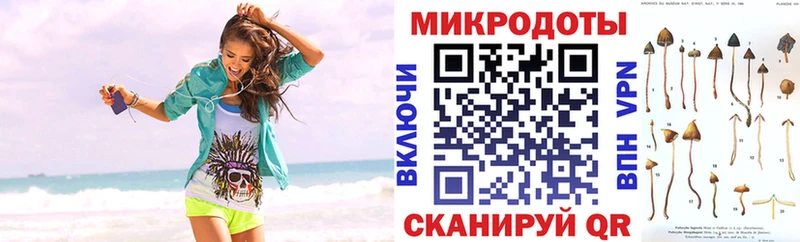 где купить   Ноябрьск  Псилоцибиновые грибы MAGIC MUSHROOMS 