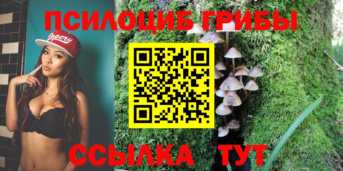 Галлюциногенные грибы Cubensis  Галлюциногенные грибы Psilocybine cubensis  Ноябрьск  что такое   Вход с VPN 